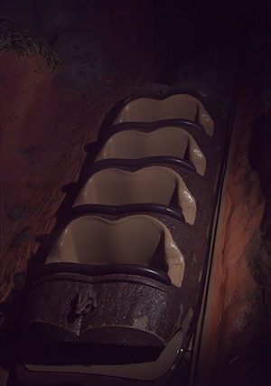 A photo of my fun time on Splash Mountain.